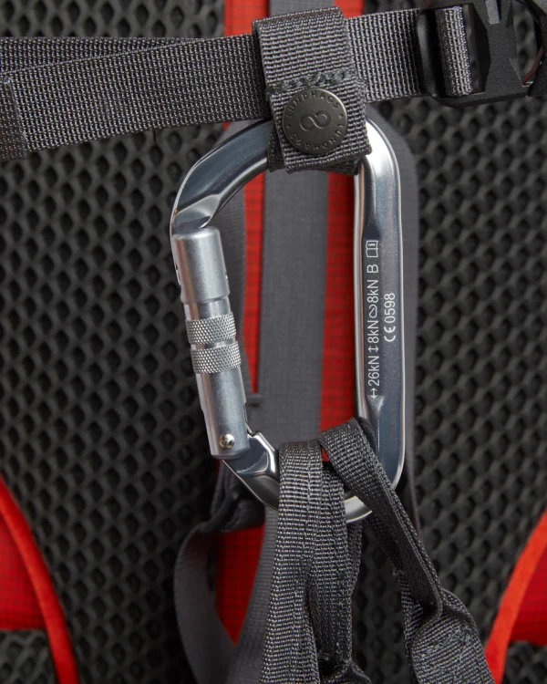 Torne Ice Light 25L